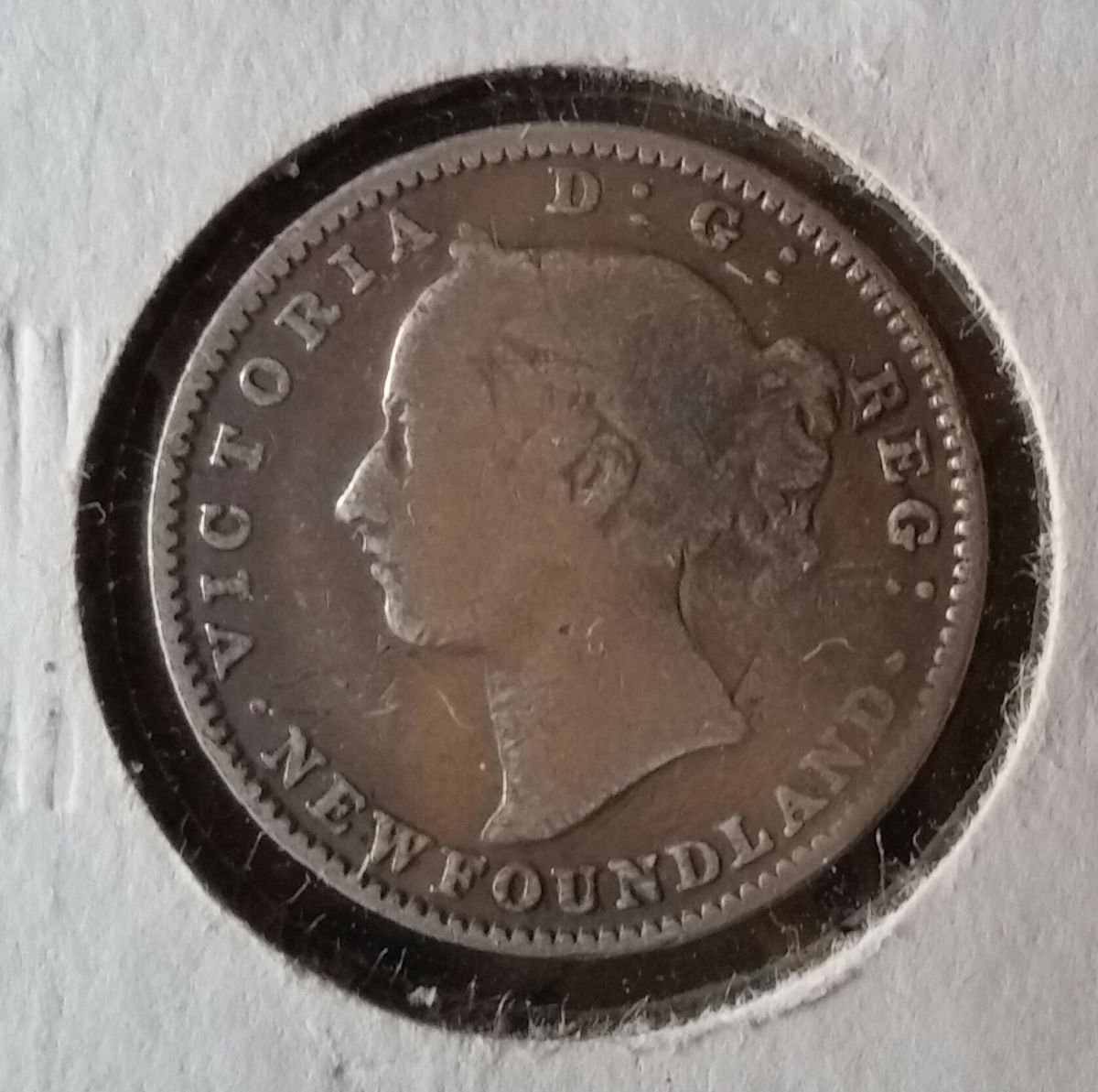 1873-Newfoundland-50-Cent-Coin